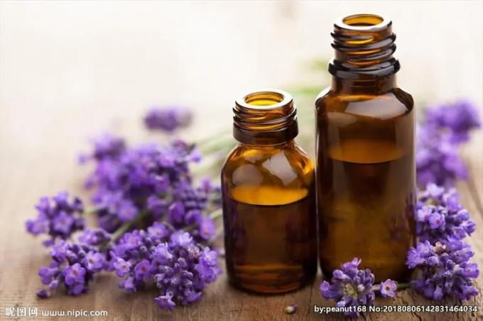 프랑지파니 향수유 오래 지속되는 나무 향수 향수 향수 2