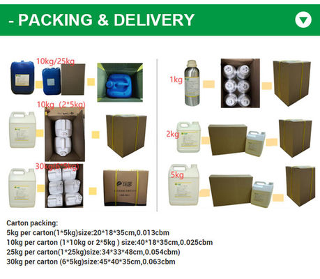 Oil-based Perfumes Brand for Women and Men Designer Fragrance Oil Roll on Perfume Oil for Body Spray