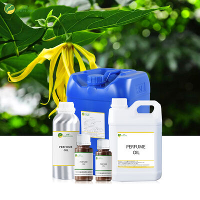 남성과 여성을 위한 오일 기반 향수 브랜드, 디자이너 향수 오일 롤온 향수 오일 바디 스프레이용